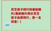 灵芝孢子排行榜最新图片(最新图片揭示灵芝孢子品质排行，第一名惊喜！)