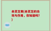 赤灵芝黄(赤灵芝的功效与作用，你知道吗？)