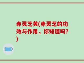 赤灵芝黄(赤灵芝的功效与作用，你知道吗？)