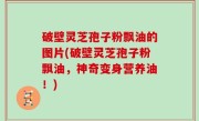 破壁灵芝孢子粉飘油的图片(破壁灵芝孢子粉飘油，神奇变身营养油！)
