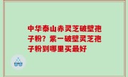 中华泰山赤灵芝破壁孢子粉？紫一破壁灵芝孢子粉到哪里买最好
