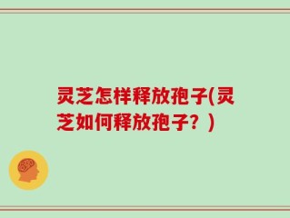 灵芝怎样释放孢子(灵芝如何释放孢子？)