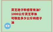 灵芝孢子粉感觉有油？1000公斤灵芝萃体可取出多少公斤纯孢子油