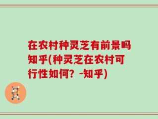 在农村种灵芝有前景吗知乎(种灵芝在农村可行性如何？-知乎)