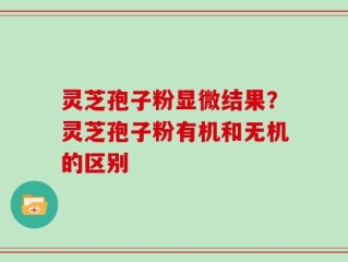 灵芝孢子粉显微结果？灵芝孢子粉有机和无机的区别
