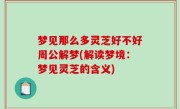 梦见那么多灵芝好不好周公解梦(解读梦境：梦见灵芝的含义)