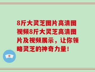 8斤大灵芝图片高清图视频8斤大灵芝高清图片及视频展示，让你领略灵芝的神奇力量！