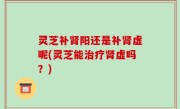灵芝补肾阳还是补肾虚呢(灵芝能治疗肾虚吗？)