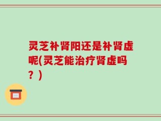 灵芝补肾阳还是补肾虚呢(灵芝能治疗肾虚吗？)