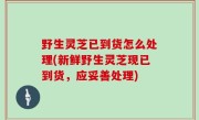 野生灵芝已到货怎么处理(新鲜野生灵芝现已到货，应妥善处理)