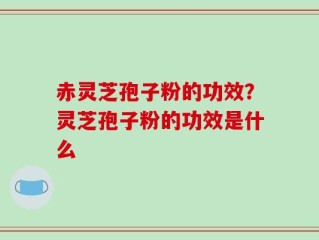 赤灵芝孢子粉的功效？灵芝孢子粉的功效是什么