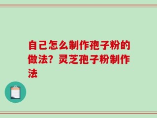 自己怎么制作孢子粉的做法？灵芝孢子粉制作法
