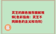 灵芝的颜色推荐图解视频(色彩指南：灵芝不同颜色的含义和功效)