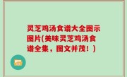 灵芝鸡汤食谱大全图示图片(美味灵芝鸡汤食谱全集，图文并茂！)