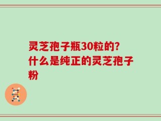 灵芝孢子瓶30粒的？什么是纯正的灵芝孢子粉