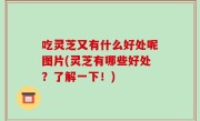吃灵芝又有什么好处呢图片(灵芝有哪些好处？了解一下！)