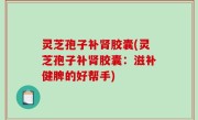 灵芝孢子补肾胶囊(灵芝孢子补肾胶囊：滋补健脾的好帮手)