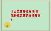 矷山灵芝种植方法(高效种植灵芝的方法分享)