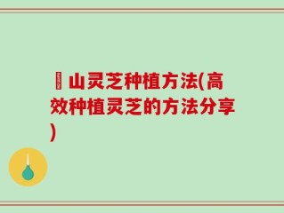 矷山灵芝种植方法(高效种植灵芝的方法分享)