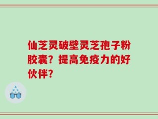 仙芝灵破壁灵芝孢子粉胶囊？提高免疫力的好伙伴？