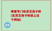 哪里专门收灵芝孢子粉(买灵芝孢子粉就上这个网站)