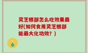 灵芝根部怎么吃效果最好(如何食用灵芝根部能最大化功效？)