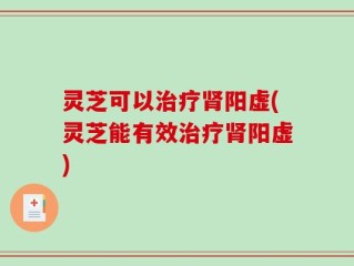 灵芝可以治疗肾阳虚(灵芝能有效治疗肾阳虚)