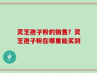 灵芝孢子粉的销售？灵芝孢子粉在哪里能买到