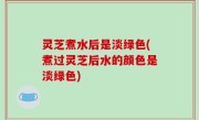 灵芝煮水后是淡绿色(煮过灵芝后水的颜色是淡绿色)