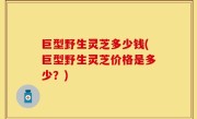 巨型野生灵芝多少钱(巨型野生灵芝价格是多少？)