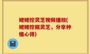 姥姥挖灵芝视频播放(姥姥挖掘灵芝，分享种植心得)