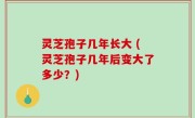 灵芝孢子几年长大 (灵芝孢子几年后变大了多少？)