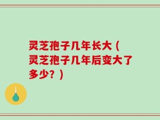 灵芝孢子几年长大 (灵芝孢子几年后变大了多少？)