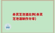 赤灵芝泡酒比例(赤灵芝泡酒制作分享)