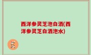 西洋参灵芝泡白洒(西洋参灵芝白洒泡水)