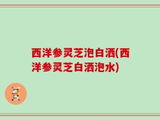 西洋参灵芝泡白洒(西洋参灵芝白洒泡水)