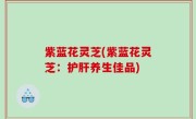 紫蓝花灵芝(紫蓝花灵芝：护肝养生佳品)