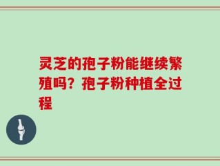 灵芝的孢子粉能继续繁殖吗？孢子粉种植全过程