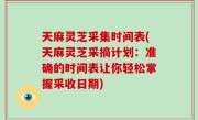 天麻灵芝采集时间表(天麻灵芝采摘计划：准确的时间表让你轻松掌握采收日期)