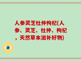 人参灵芝杜仲枸杞(人参、灵芝、杜仲、枸杞，天然草本滋补好物)