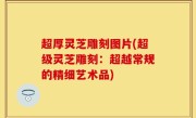 超厚灵芝雕刻图片(超级灵芝雕刻：超越常规的精细艺术品)