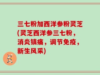 三七粉加西洋参粉灵芝(灵芝西洋参三七粉，消炎镇痛，调节免疫，新生风采)