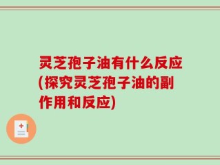 灵芝孢子油有什么反应(探究灵芝孢子油的副作用和反应)