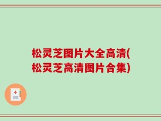 松灵芝图片大全高清(松灵芝高清图片合集)