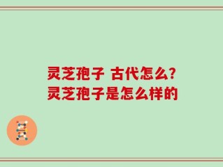 灵芝孢子 古代怎么？灵芝孢子是怎么样的