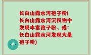 长白山露水河孢子粉(长白山露水河沉积物中发现丰富孢子粉，或：长白山露水河发现大量孢子粉)