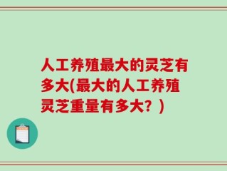 人工养殖最大的灵芝有多大(最大的人工养殖灵芝重量有多大？)