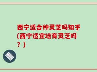 西宁适合种灵芝吗知乎(西宁适宜培育灵芝吗？)
