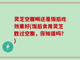 灵芝空腹喝还是饭后吃效果好(饭后食用灵芝胜过空腹，你知道吗？)