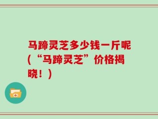 马蹄灵芝多少钱一斤呢(“马蹄灵芝”价格揭晓！)